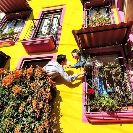Posada "Jardin Huasteca Xilitla" エクステリア 写真