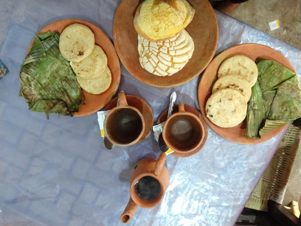 Posada "Jardin Huasteca Xilitla" エクステリア 写真