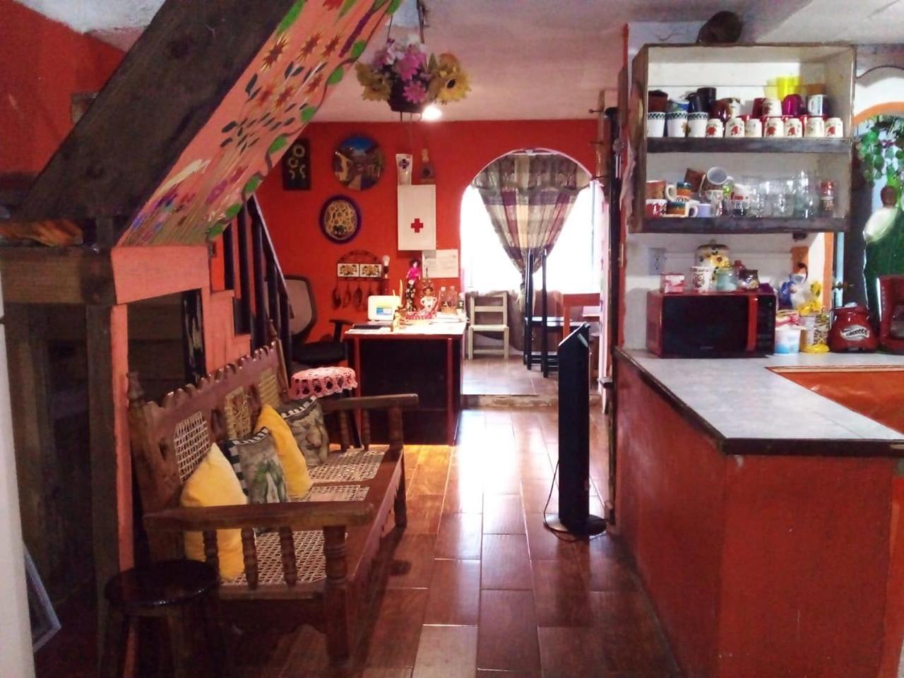Posada "Jardin Huasteca Xilitla" エクステリア 写真